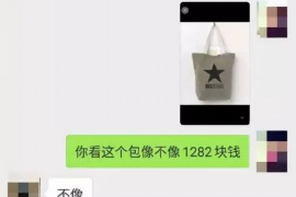 风控贷款催收工资：揭秘金融行业的“隐形武器”